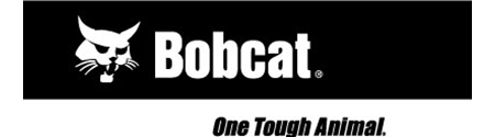 Bobcat