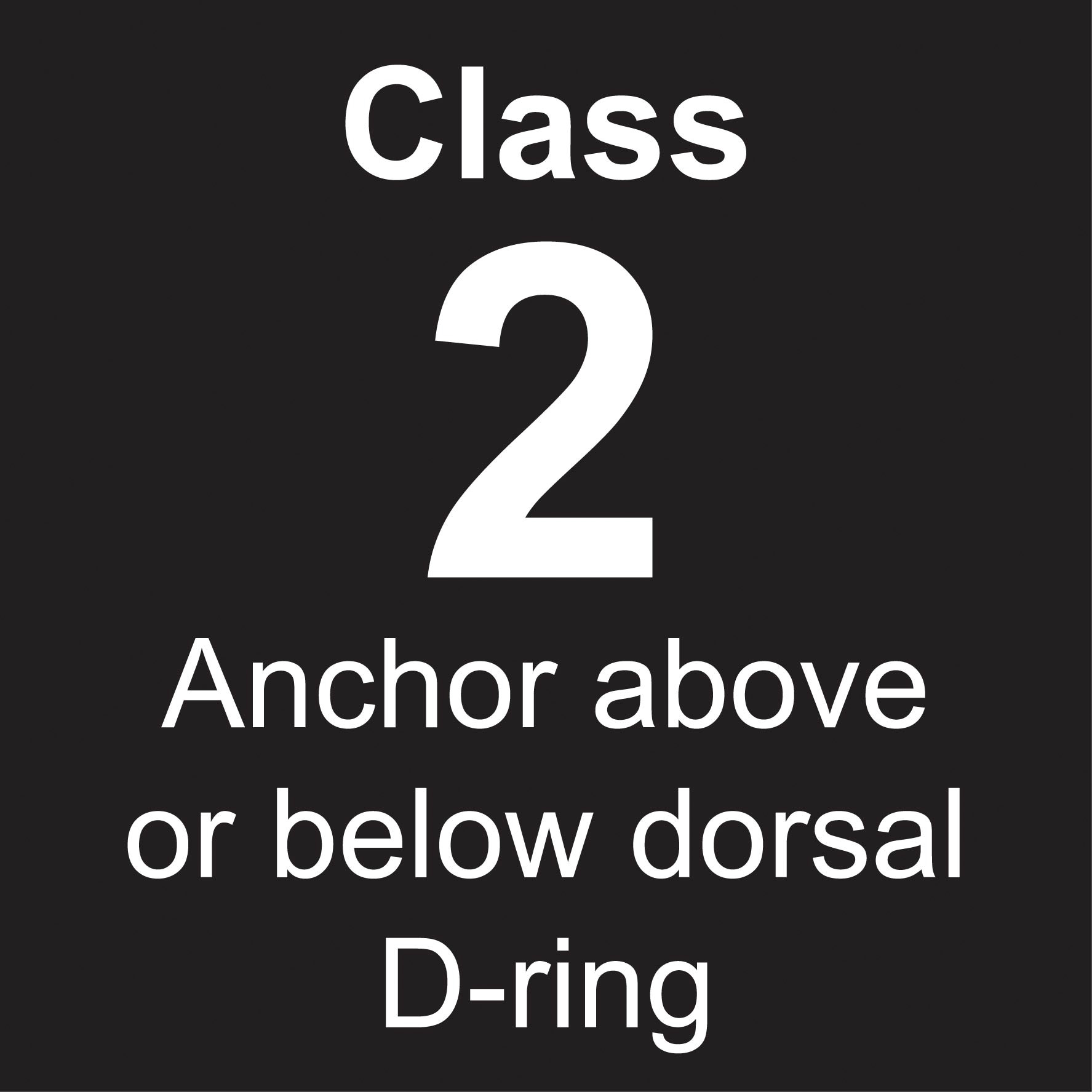 Class 2: Anchor above or below dorsal D-ring