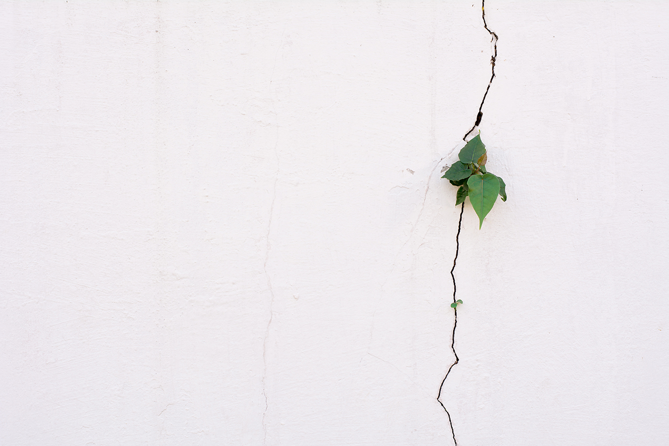 Adapt or Die: Assess and Evolve to Change the Construction Industry
