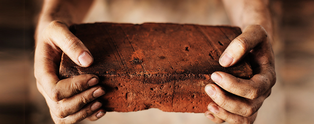 Build an Enduring Organization
