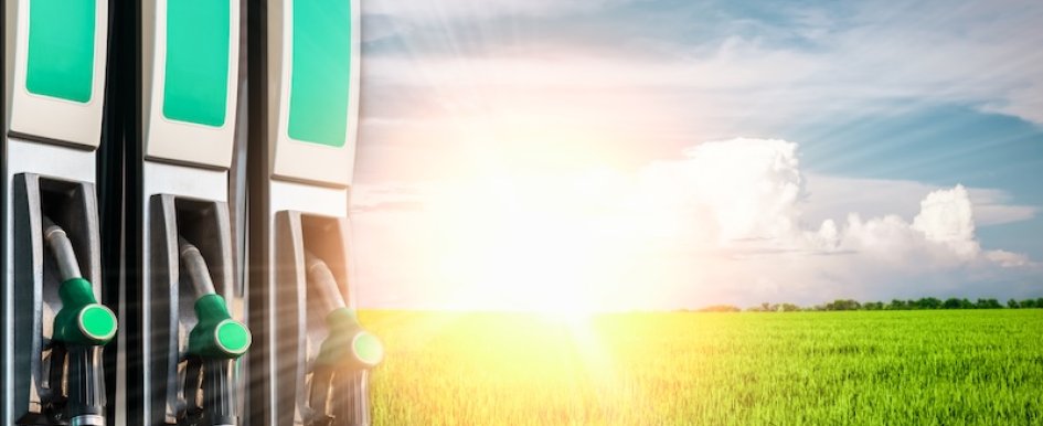 Fuel pump nozzles beside sunlit farmland field