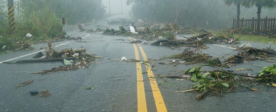 Tree branches in debris on roadway in the pouring rain