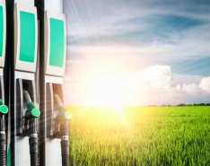 Fuel pump nozzles beside sunlit farmland field