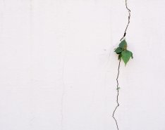 Adapt or Die: Assess and Evolve to Change the Construction Industry